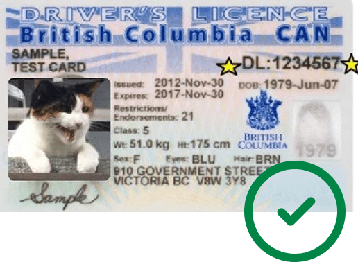BC Id with DL Identity accepted