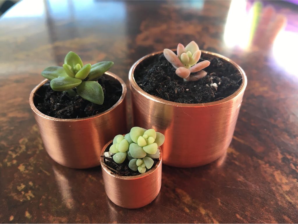 Some upcycled copper plant pots