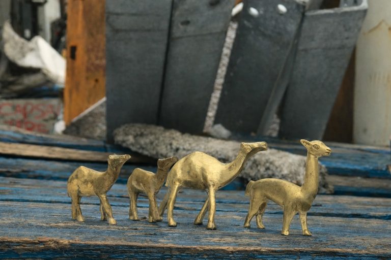Scrap Yard Treasure Hunt Camel